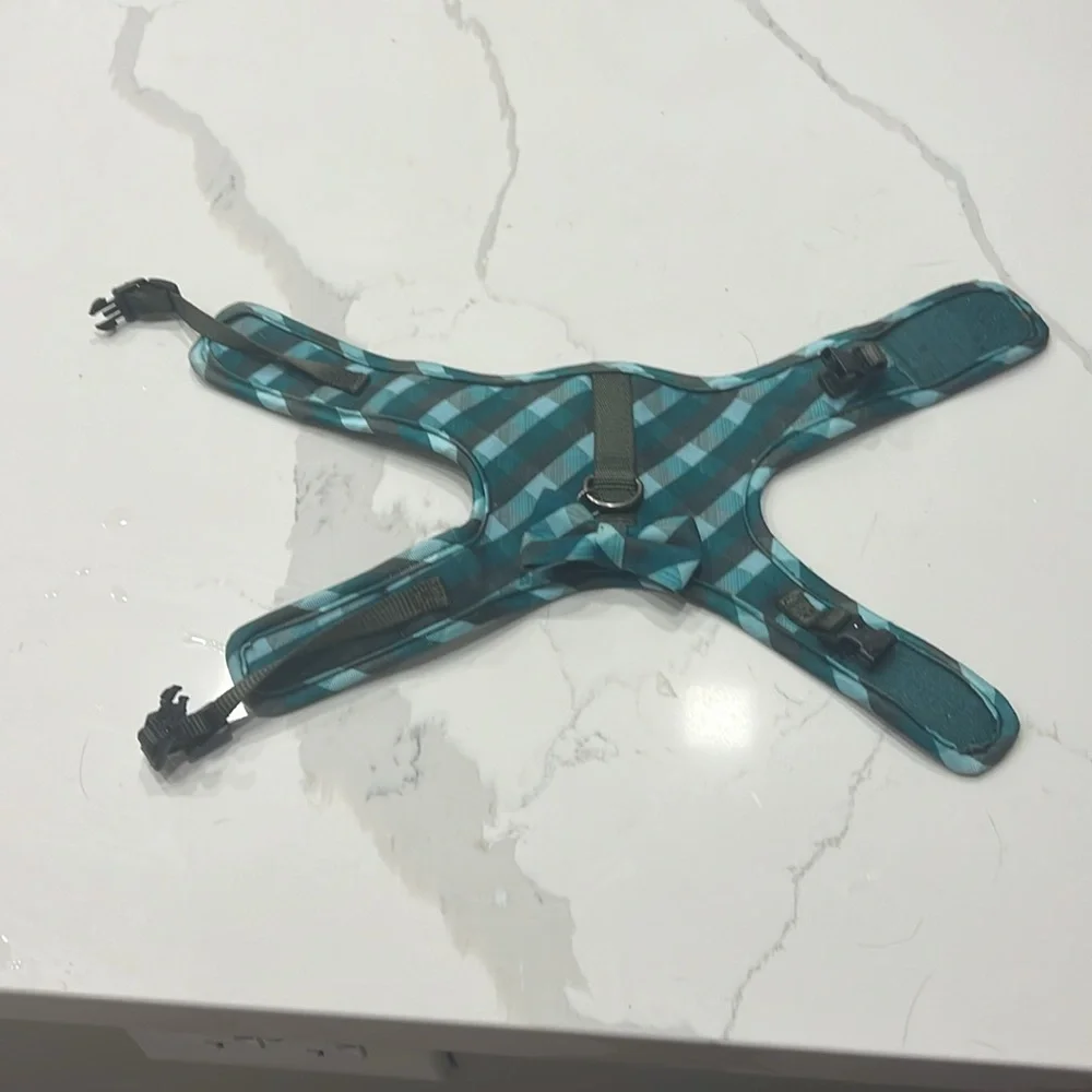 Harness and leash for cats